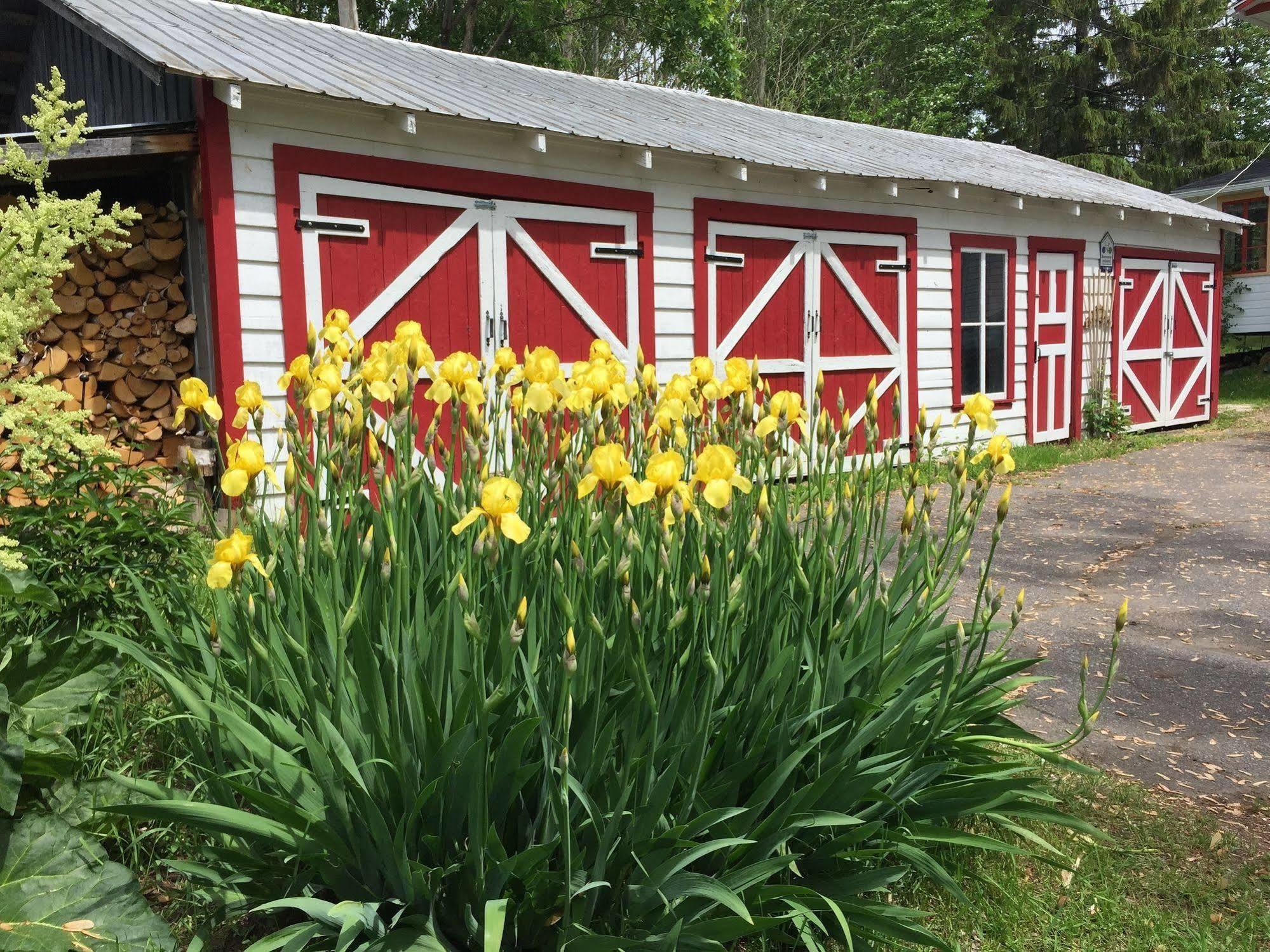 Almatoit Bed & Breakfast Exterior photo